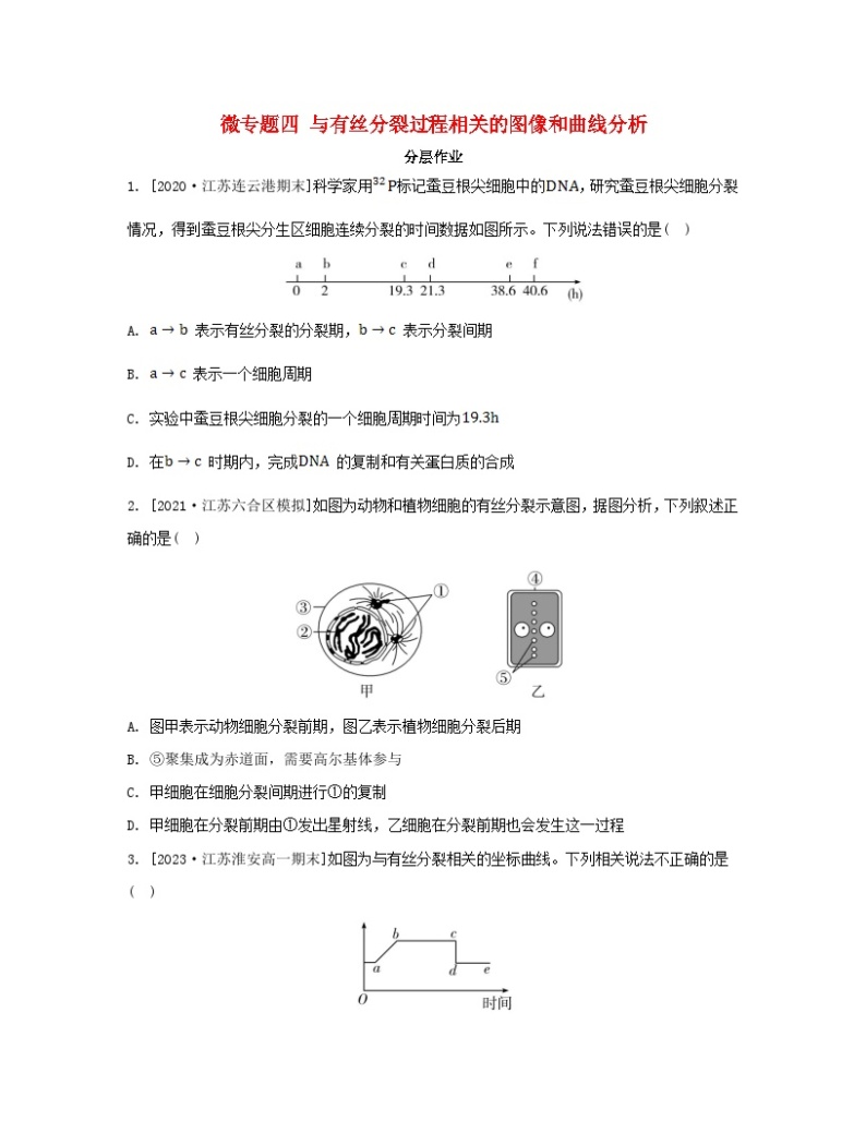 江苏专版2023_2024学年新教材高中生物第四章细胞增殖分化衰老和死亡微专题四与有丝分裂过程相关的图像和曲线分析分层作业苏教版必修101