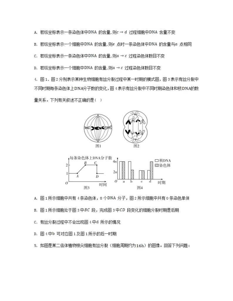 江苏专版2023_2024学年新教材高中生物第四章细胞增殖分化衰老和死亡微专题四与有丝分裂过程相关的图像和曲线分析分层作业苏教版必修102