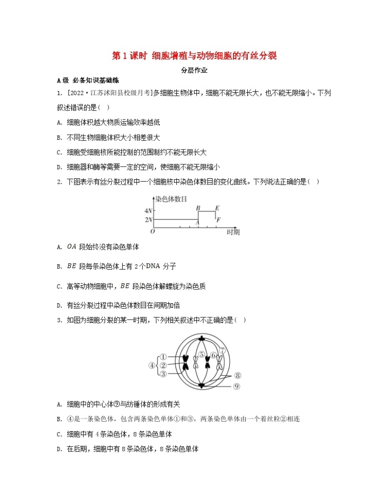 江苏专版2023_2024学年新教材高中生物第四章细胞增殖分化衰老和死亡第一节细胞增殖第一课时细胞增殖与动物细胞的有丝分裂分层作业苏教版必修101