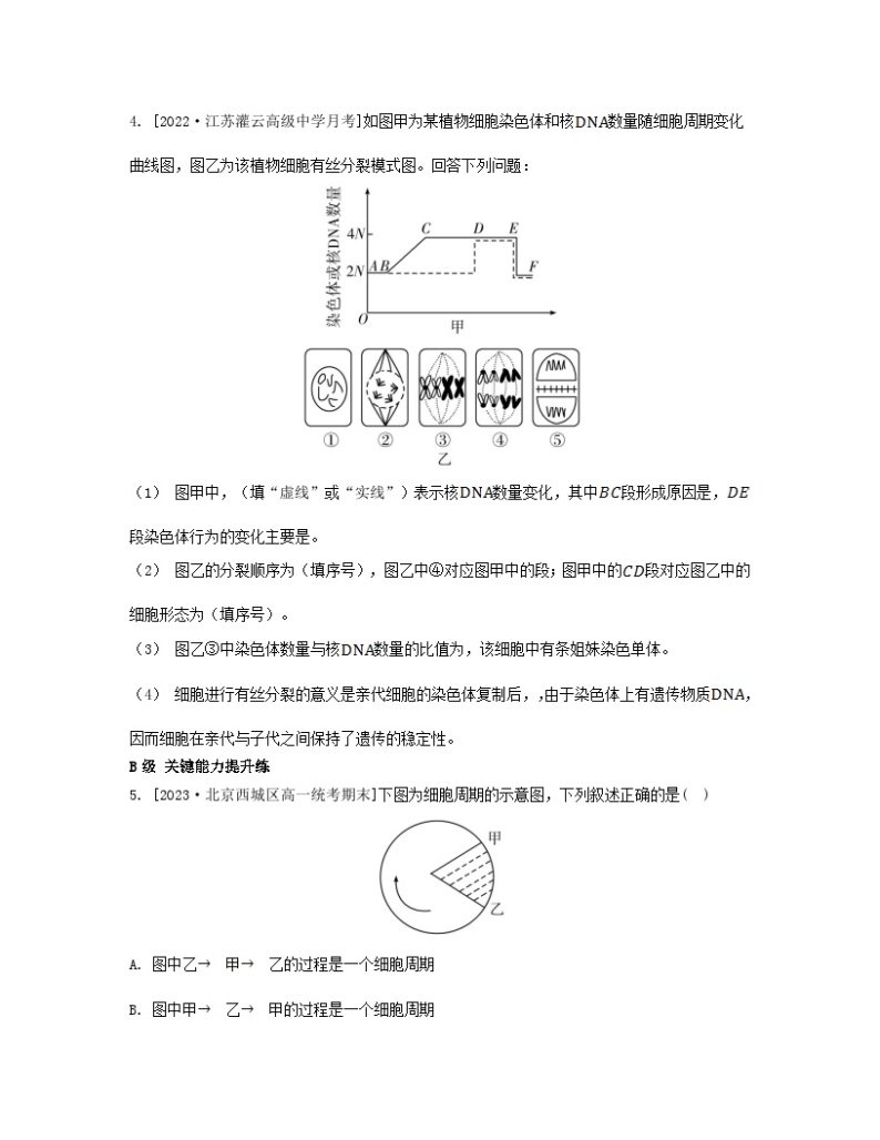 江苏专版2023_2024学年新教材高中生物第四章细胞增殖分化衰老和死亡第一节细胞增殖第一课时细胞增殖与动物细胞的有丝分裂分层作业苏教版必修102