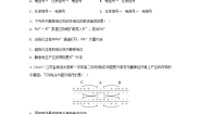高中生物苏教版 (2019)选择性必修1 稳态与调节第一节 神经调节第二课时随堂练习题