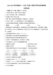 天津市武清区杨村一中2023-2024学年高三上学期开学学业质量检测生物试题及答案