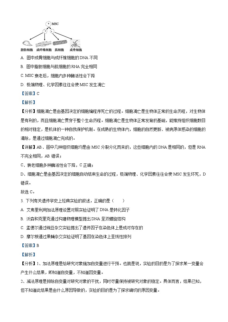广东省惠州市惠东县惠东荣超中学2023-2024学年高二上学期开学生物试题(解析版)第2页