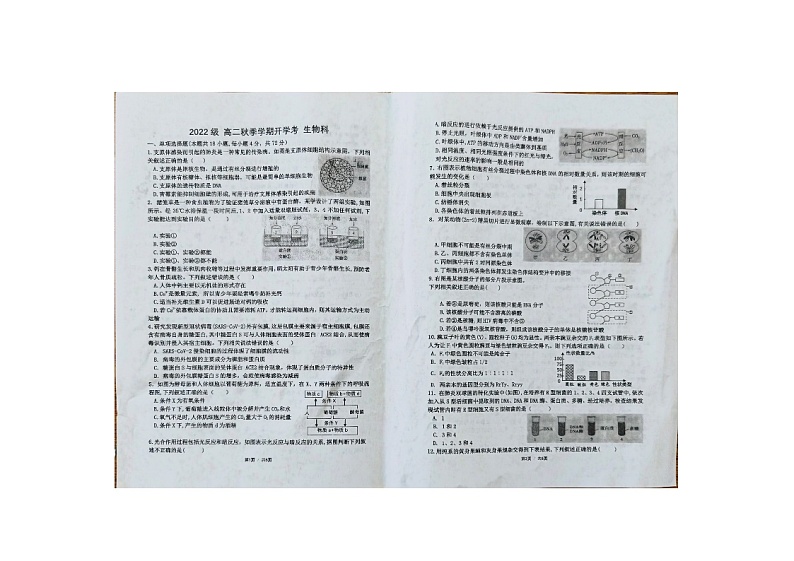 广西壮族自治区横州市第二高级中学2023-2024学年高二上学期开学考试生物试题01