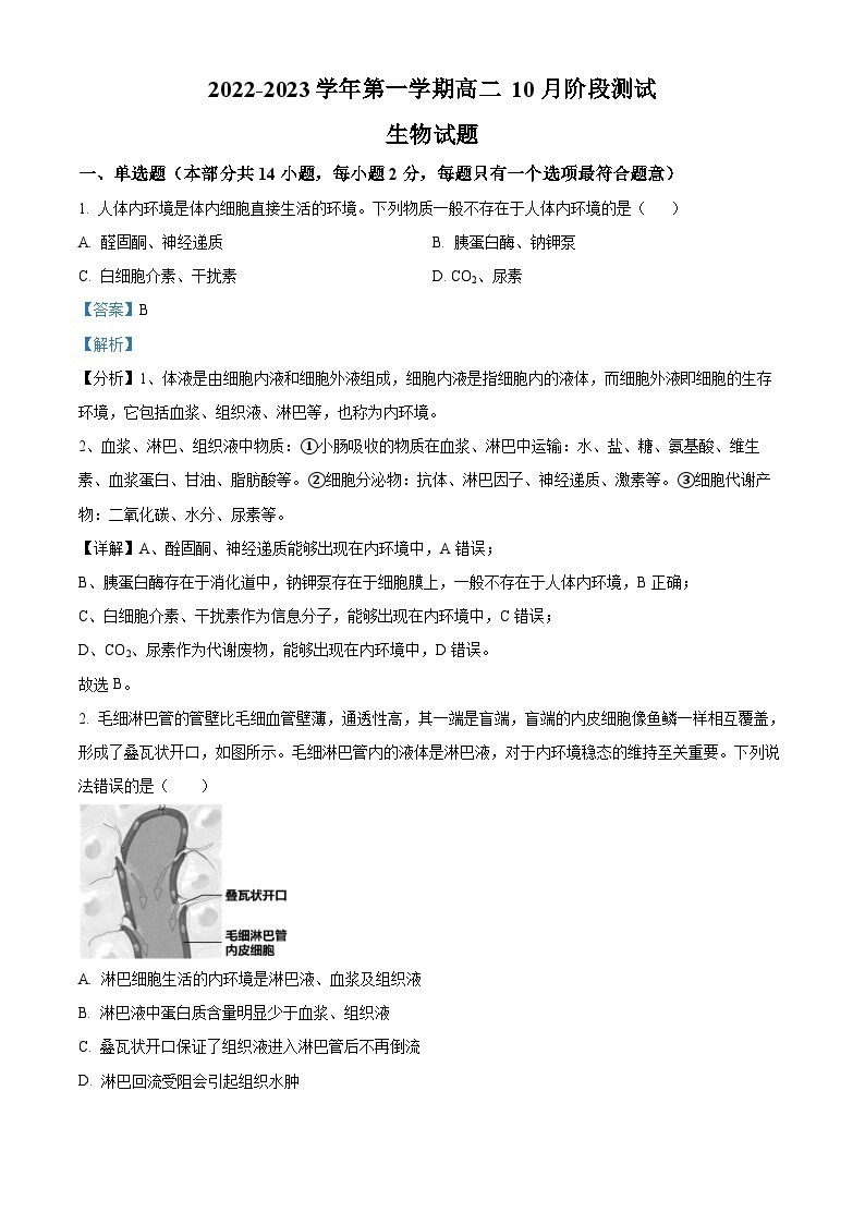 江苏省扬州市高邮市2022-2023学年高二生物上学期10月月考试题（Word版附解析）01