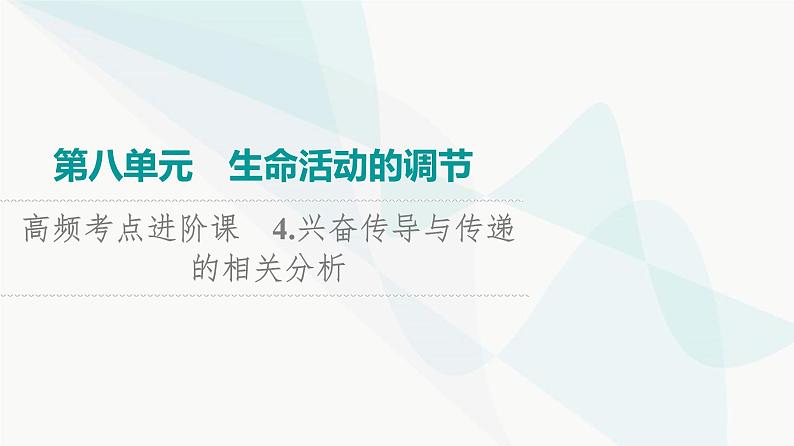 2024届高考生物一轮复习第8单元高频考点进阶课4兴奋传导与传递的相关分析课件第1页