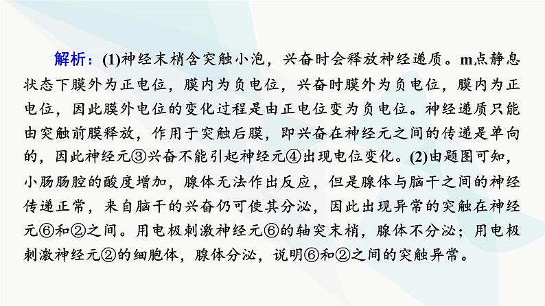 2024届高考生物一轮复习第8单元高频考点进阶课4兴奋传导与传递的相关分析课件第6页