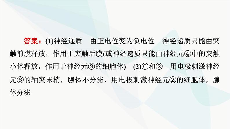 2024届高考生物一轮复习第8单元高频考点进阶课4兴奋传导与传递的相关分析课件第7页