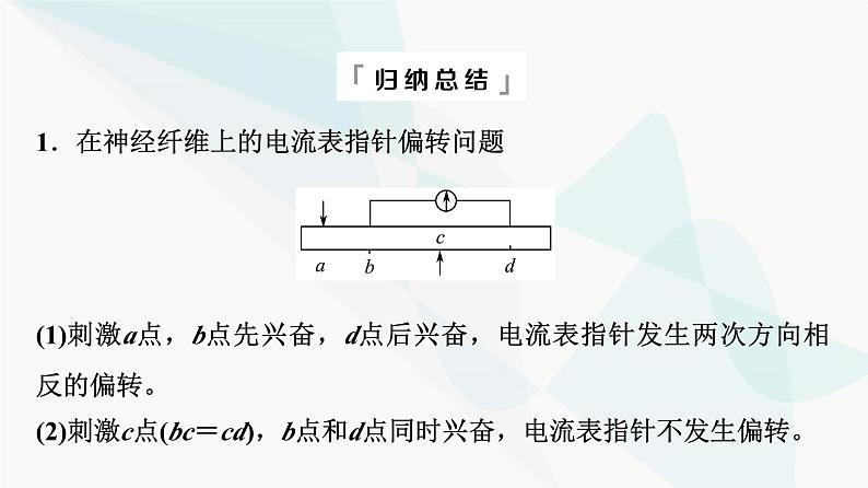 2024届高考生物一轮复习第8单元高频考点进阶课4兴奋传导与传递的相关分析课件第8页