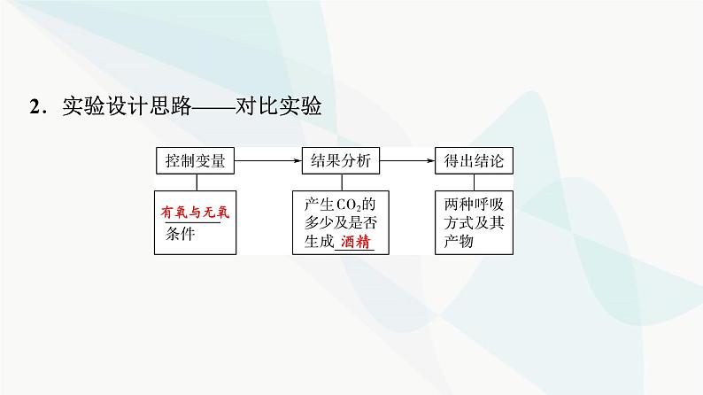 2024届高考生物一轮复习第3单元第8课细胞呼吸的原理和应用课件05