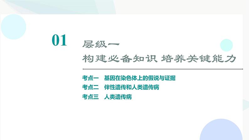 2024届高考生物一轮复习第5单元第16课基因在染色体上及伴性遗传和人类遗传病课件03