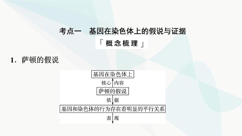 2024届高考生物一轮复习第5单元第16课基因在染色体上及伴性遗传和人类遗传病课件04
