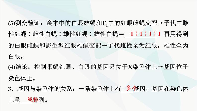 2024届高考生物一轮复习第5单元第16课基因在染色体上及伴性遗传和人类遗传病课件08