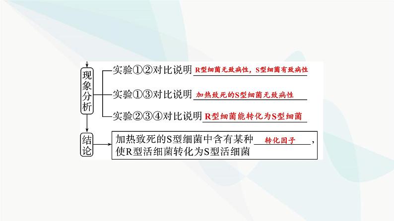 2024届高考生物一轮复习第6单元第17课DNA是主要的遗传物质课件第6页