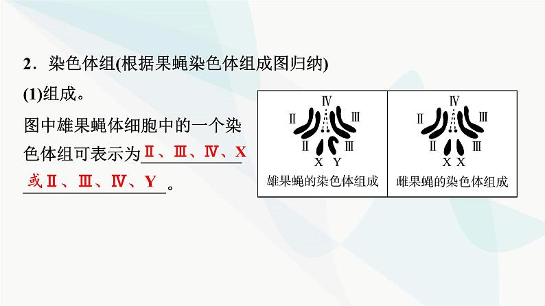 2024届高考生物一轮复习第7单元第21课染色体变异课件第5页