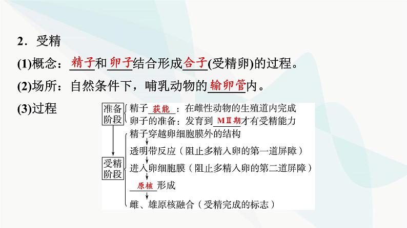 2024届高考生物一轮复习第10单元第39课胚胎工程生物技术的安全性与伦理问题课件第5页