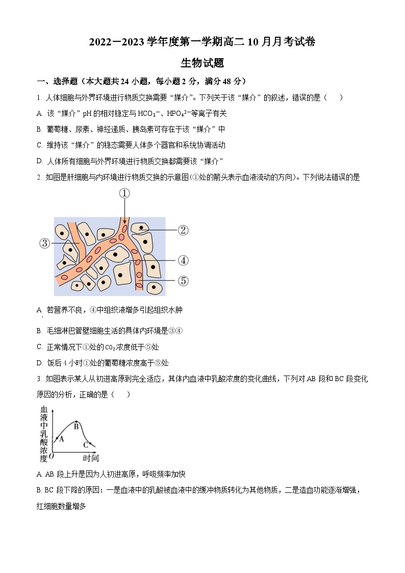 2023滁州定远县民族中学高二上学期10月月考生物试题含解析01