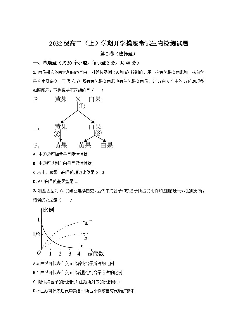 2024菏泽郓城一中高二上学期开学考试生物试题含解析01