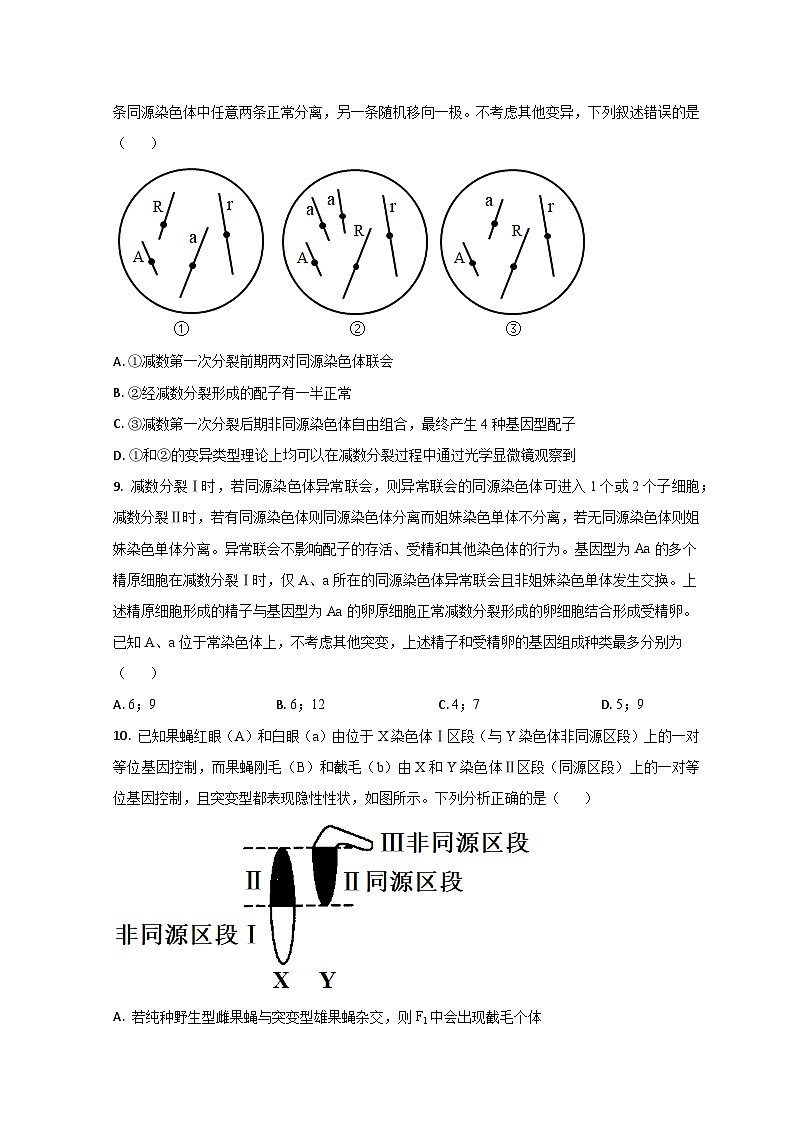 2024菏泽郓城一中高二上学期开学考试生物试题含解析03