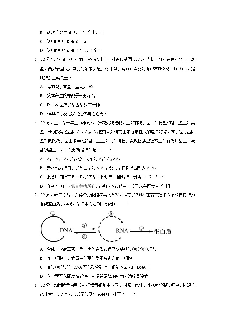 四川省资阳市乐至中学2023-2024学年高二生物上学期开学考试试题（Word版附解析）02