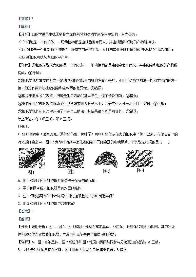 重庆市南开中学2023-2024学年高三生物上学期第一次质量检测试题(Word版附解析)03