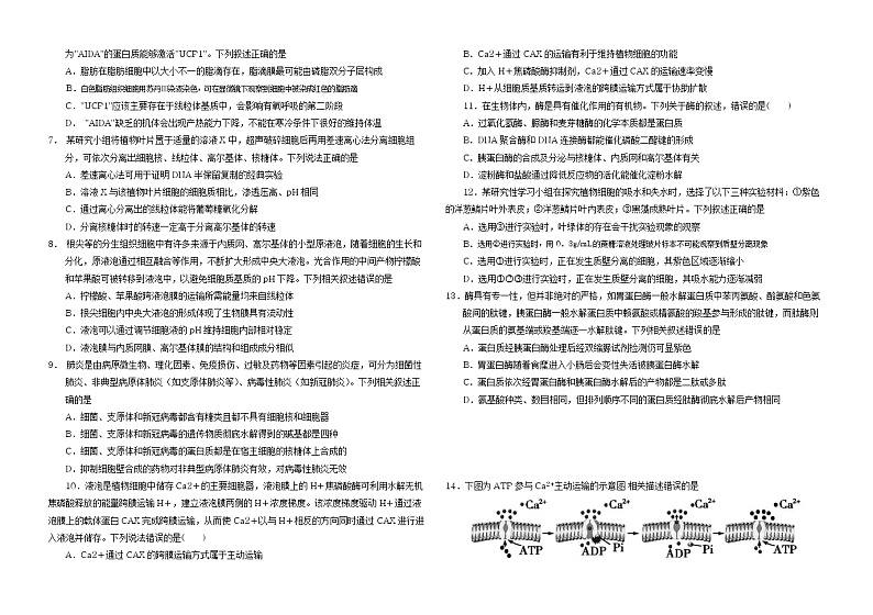 重庆市二0三中学2023-2024学年高三生物上学期开学考试试题(Word版附答案)02