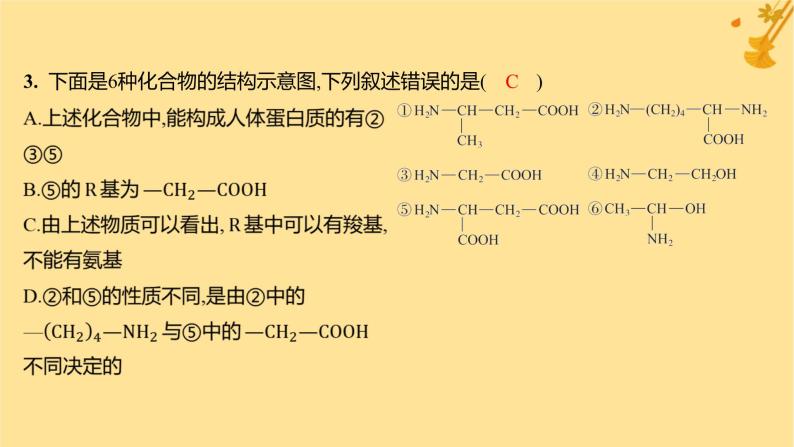 江苏专版2023_2024学年新教材高中生物第2章组成细胞的分子第4节蛋白质是生命活动的主要承担者分层作业课件新人教版必修106