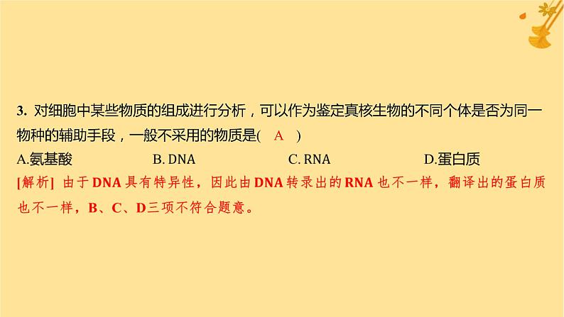 江苏专版2023_2024学年新教材高中生物第2章组成细胞的分子第5节核酸是遗传信息的携带者分层作业课件新人教版必修1第4页