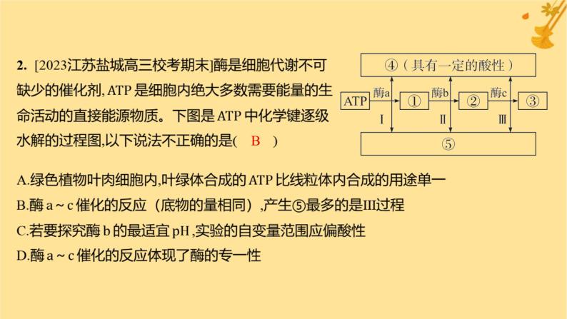 江苏专版2023_2024学年新教材高中生物第5章细胞的能量供应和利用章末测评卷课件新人教版必修104