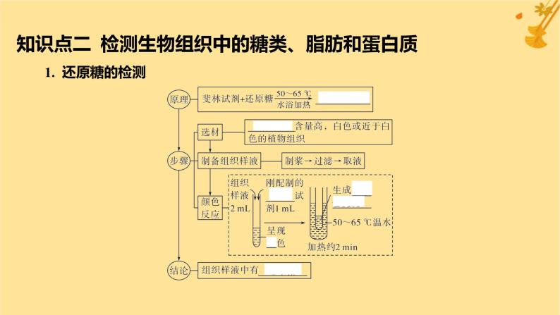 江苏专版2023_2024学年新教材高中生物第2章组成细胞的分子第1节细胞中的元素和化合物课件新人教版必修108