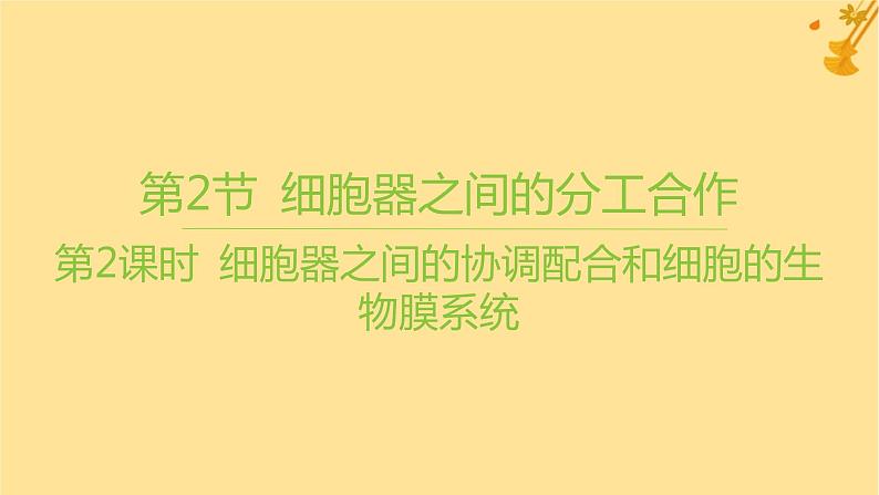 江苏专版2023_2024学年新教材高中生物第3章细胞的基本结构第2节细胞器之间的分工合作第2课时细胞器之间的协调配合和细胞的生物膜系统课件新人教版必修1第1页