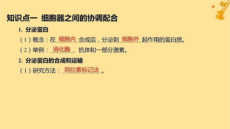 江苏专版2023_2024学年新教材高中生物第3章细胞的基本结构第2节细胞器之间的分工合作第2课时细胞器之间的协调配合和细胞的生物膜系统课件新人教版必修1第5页