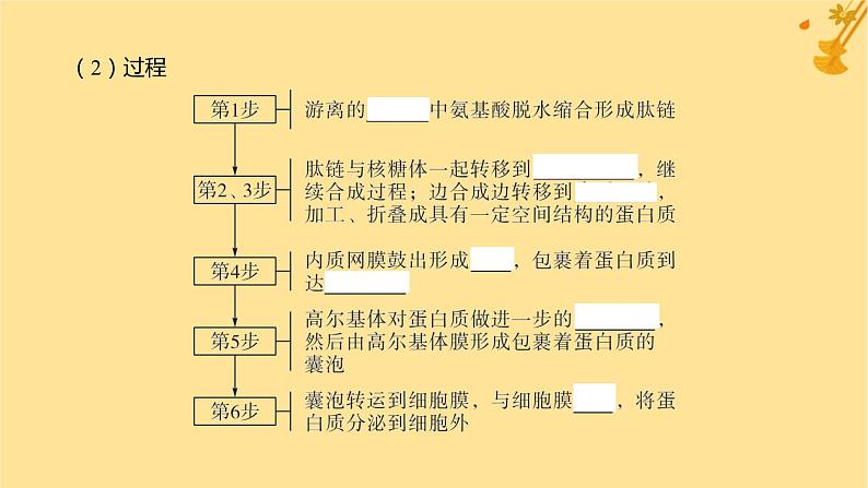 江苏专版2023_2024学年新教材高中生物第3章细胞的基本结构第2节细胞器之间的分工合作第2课时细胞器之间的协调配合和细胞的生物膜系统课件新人教版必修1第6页