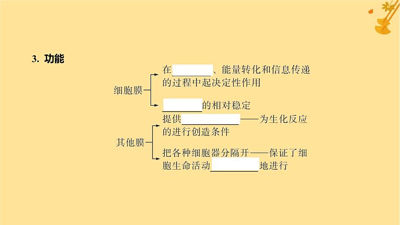 江苏专版2023_2024学年新教材高中生物第3章细胞的基本结构第2节细胞器之间的分工合作第2课时细胞器之间的协调配合和细胞的生物膜系统课件新人教版必修1第8页