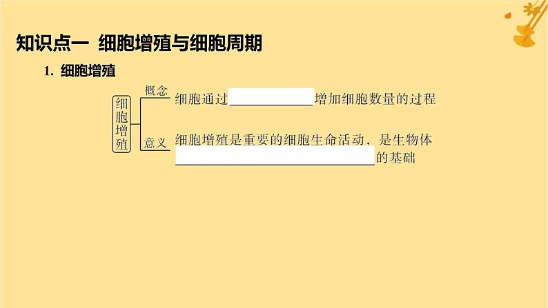 江苏专版2023_2024学年新教材高中生物第6章细胞的生命历程第1节细胞的增殖第1课时细胞周期和高等植物细胞的有丝分裂课件新人教版必修1第5页