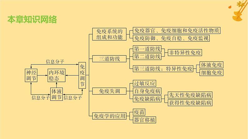 江苏专版2023_2024学年新教材高中生物第4章免疫调节章末测评卷课件新人教版选择性必修1第1页