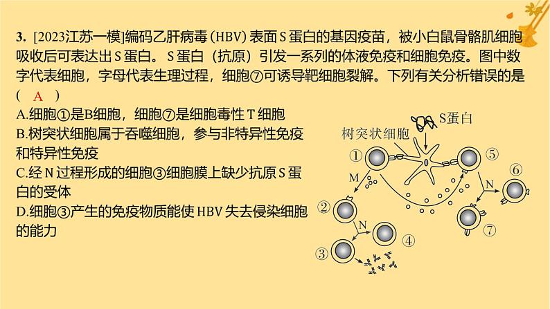 江苏专版2023_2024学年新教材高中生物第4章免疫调节章末测评卷课件新人教版选择性必修1第7页
