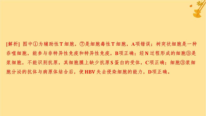 江苏专版2023_2024学年新教材高中生物第4章免疫调节章末测评卷课件新人教版选择性必修1第8页