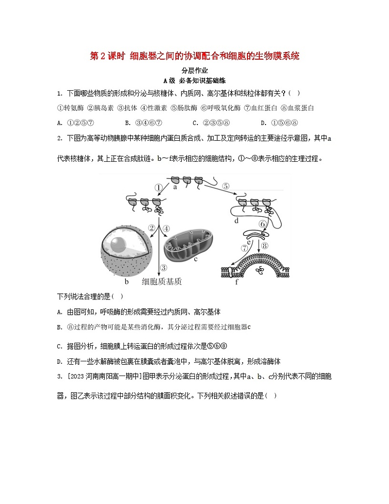 江苏专版2023_2024学年新教材高中生物第3章细胞的基本结构第2节细胞器之间的分工合作第2课时细胞器之间的协调配合和细胞的生物膜系统分层作业新人教版必修1第1页