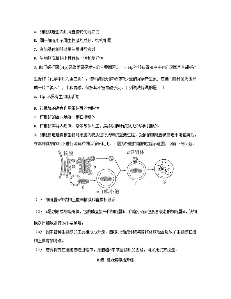 江苏专版2023_2024学年新教材高中生物第3章细胞的基本结构第2节细胞器之间的分工合作第2课时细胞器之间的协调配合和细胞的生物膜系统分层作业新人教版必修1第3页