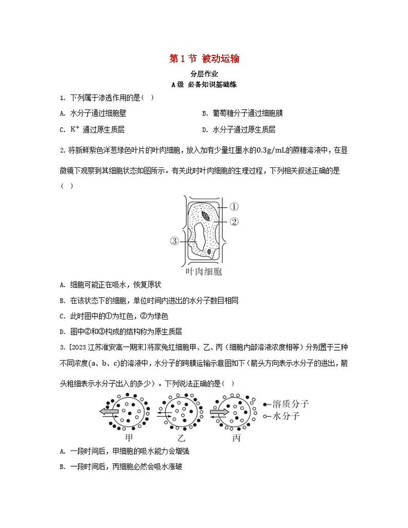江苏专版2023_2024学年新教材高中生物第4章细胞的物质输入和输出第1节被动运输分层作业新人教版必修1第1页