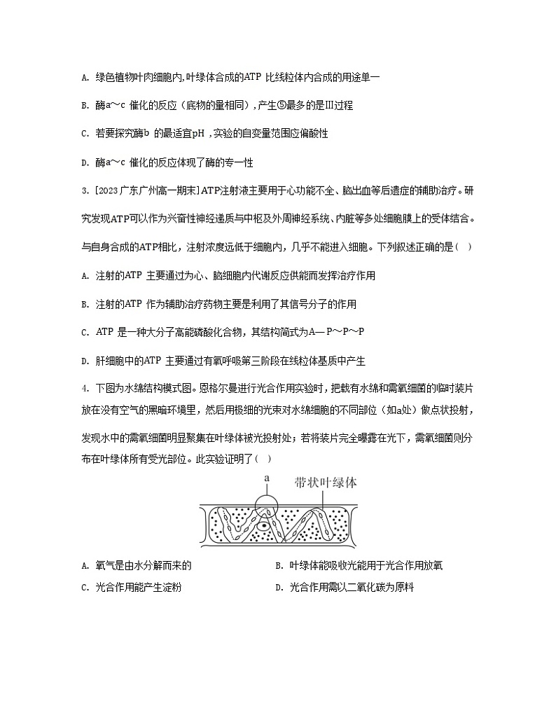 江苏专版2023_2024学年新教材高中生物第5章细胞的能量供应和利用章末测评卷新人教版必修102