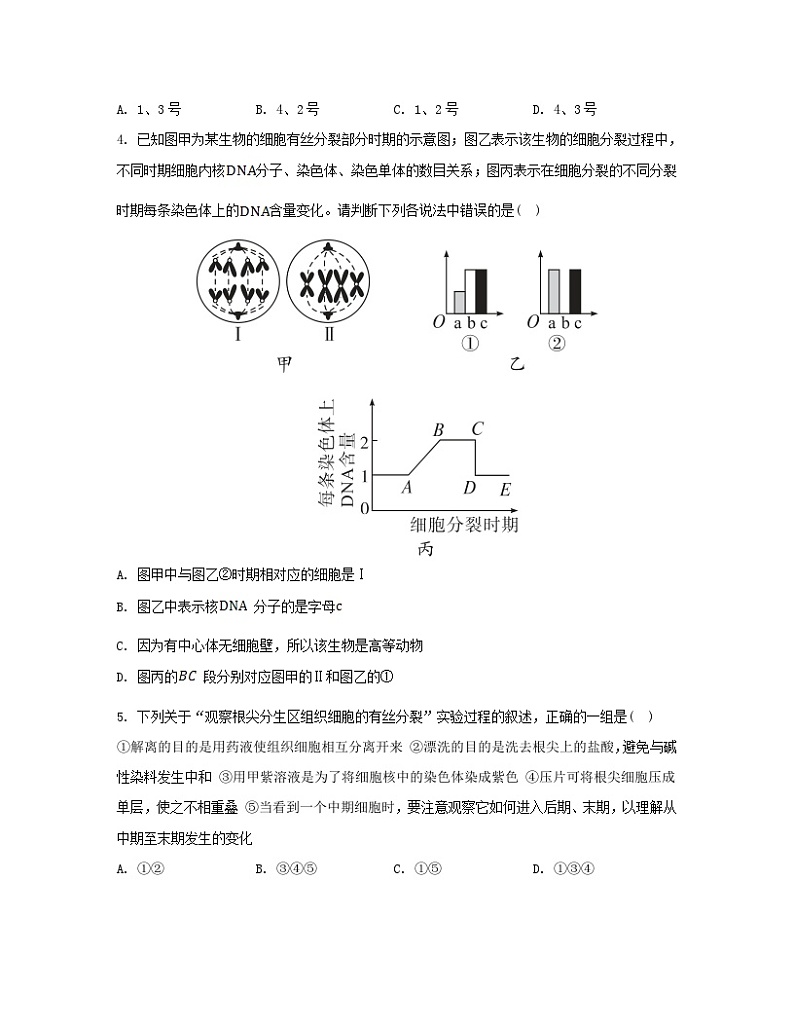 江苏专版2023_2024学年新教材高中生物第6章细胞的生命历程第1节细胞的增殖第2课时动植物细胞有丝分裂的比较及观察根尖分生区组织细胞的有丝分裂分层作业新人教版必修1第2页