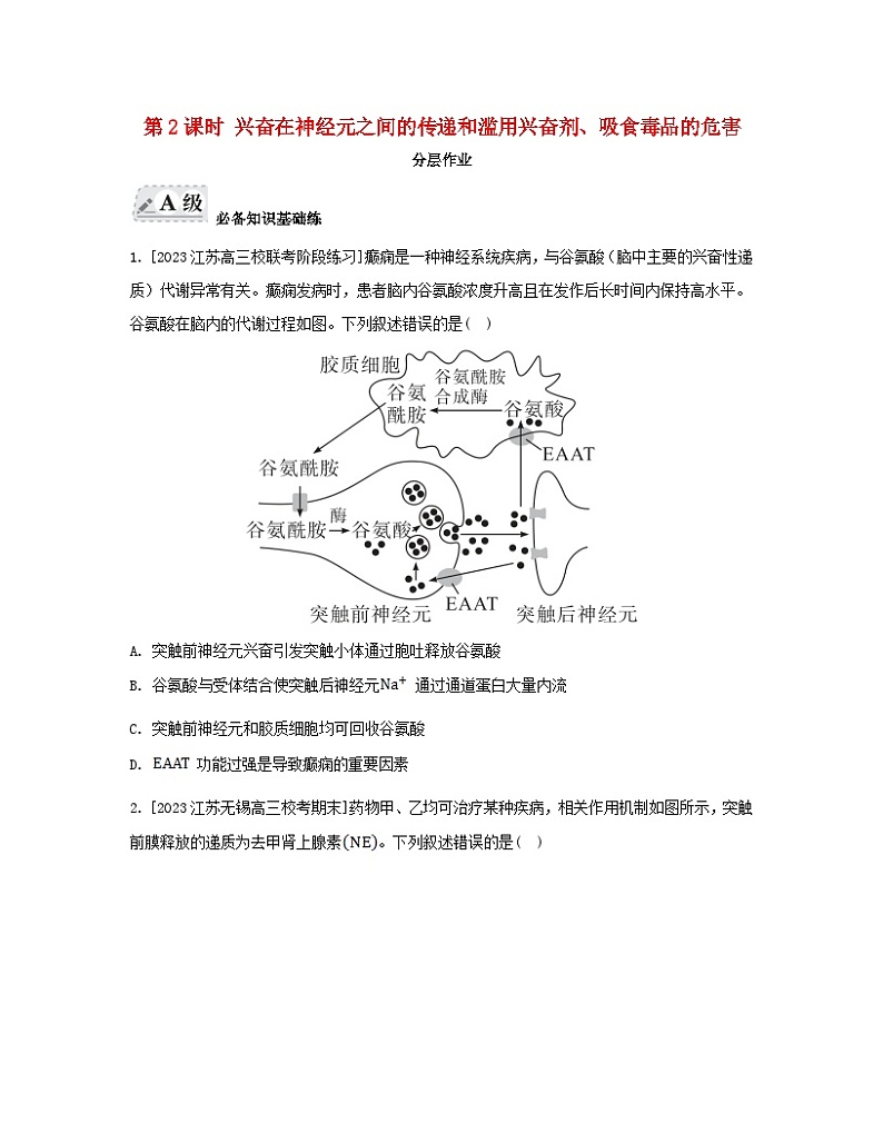 江苏专版2023_2024学年新教材高中生物第2章神经调节第3节神经冲动的产生和传导第2课时兴奋在神经元之间的传递和滥用兴奋剂吸食毒品的危害分层作业新人教版选择性必修1第1页