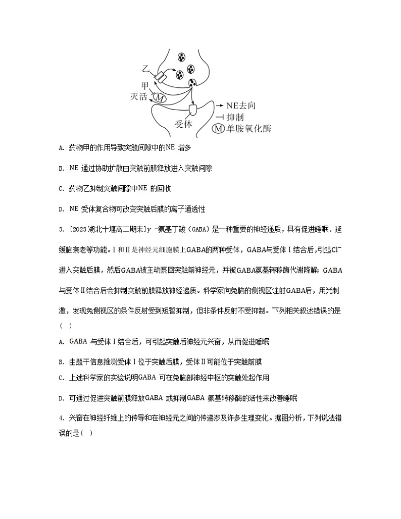 江苏专版2023_2024学年新教材高中生物第2章神经调节第3节神经冲动的产生和传导第2课时兴奋在神经元之间的传递和滥用兴奋剂吸食毒品的危害分层作业新人教版选择性必修1第2页