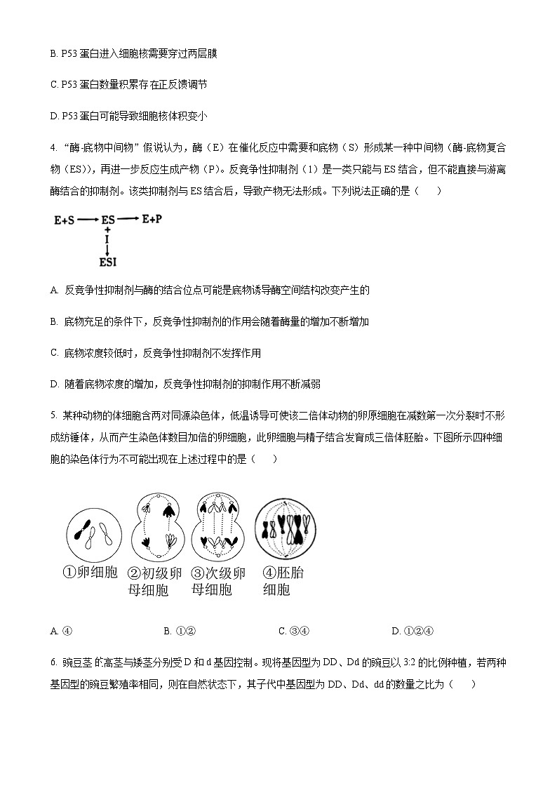 2022-2023学年重庆市南开中学高三下学期第九次质量检测生物试题(word版)第3页
