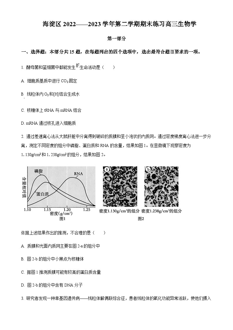 北京市海淀区2023届高三(二模)下学期期末生物试题  Word版无答案 第1页