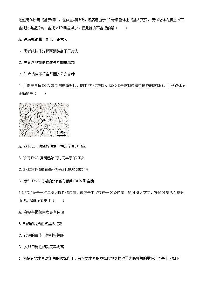 北京市海淀区2023届高三(二模)下学期期末生物试题  Word版无答案 第2页