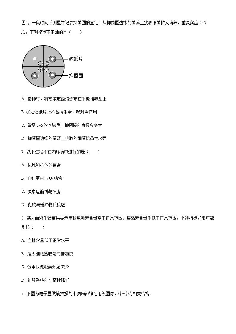 北京市海淀区2023届高三(二模)下学期期末生物试题  Word版无答案 第3页