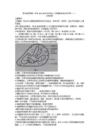 贵州省贵阳市第一中学2023-2024学年高三上学期高考适应性月考生物试卷（一）（含答案）